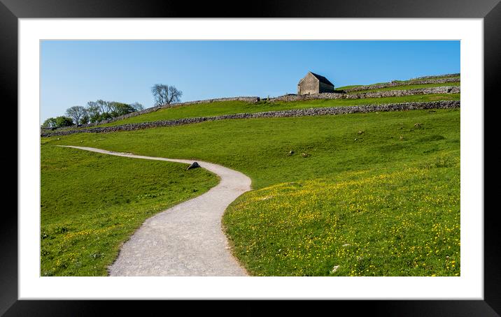 Yorkshire Dales Meadow: Malham Framed Mounted Print by Tim Hill