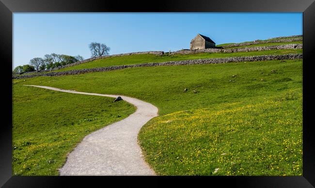 Yorkshire Dales Meadow: Malham Framed Print by Tim Hill