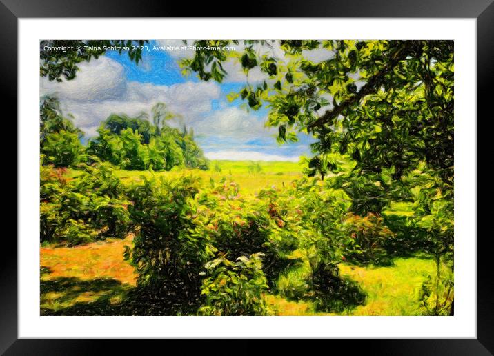 Sunny Summer Afternoon in the Garden Framed Mounted Print by Taina Sohlman