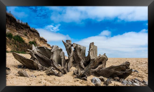 Stumped. Framed Print by Bill Allsopp