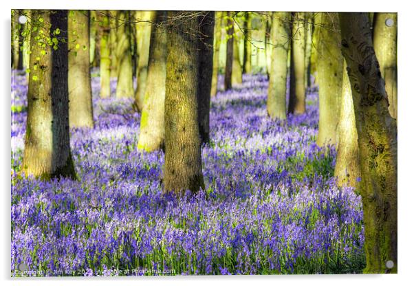Bluebell Wood  Bluebells  Acrylic by Jim Key