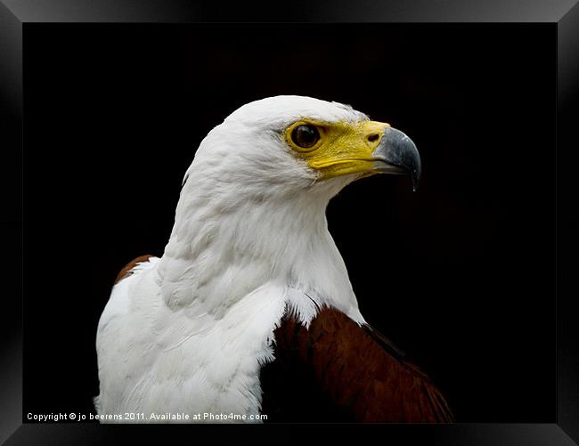 birds eye view Framed Print by Jo Beerens