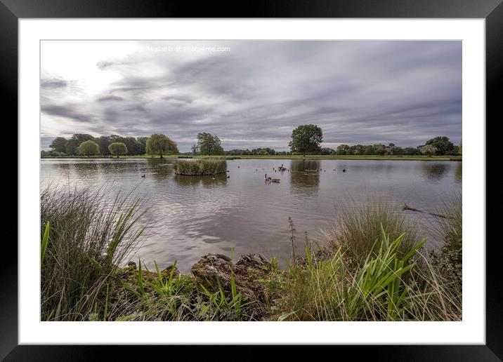 Atmospheric sky early morning at Bushy Park ponds Framed Mounted Print by Kevin White