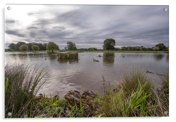 Atmospheric sky early morning at Bushy Park ponds Acrylic by Kevin White