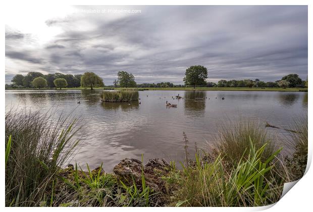Atmospheric sky early morning at Bushy Park ponds Print by Kevin White