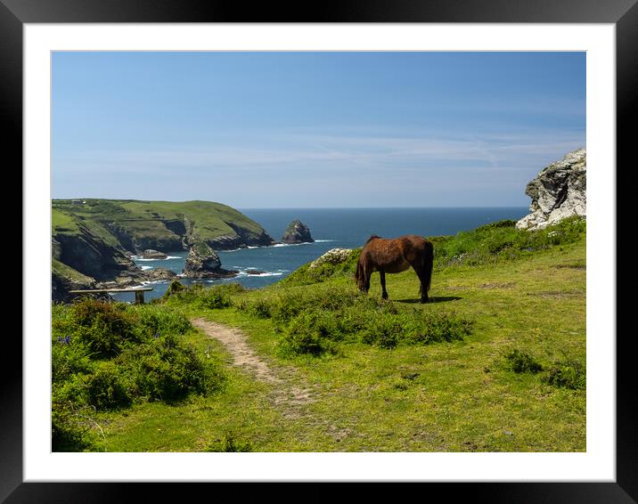 Rugged Cornish coastline  Framed Mounted Print by Tony Twyman