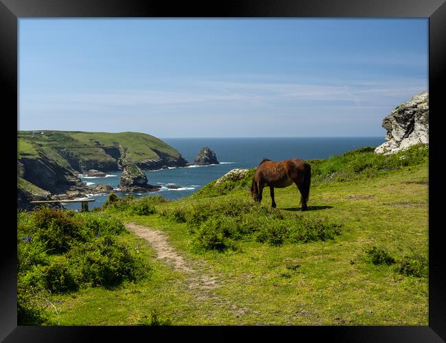 Rugged Cornish coastline  Framed Print by Tony Twyman