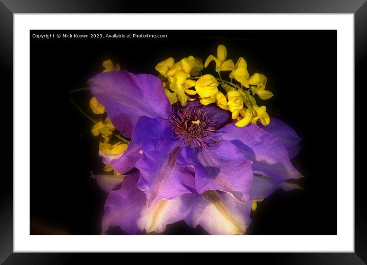 Plant flower Framed Mounted Print by Nick Keown