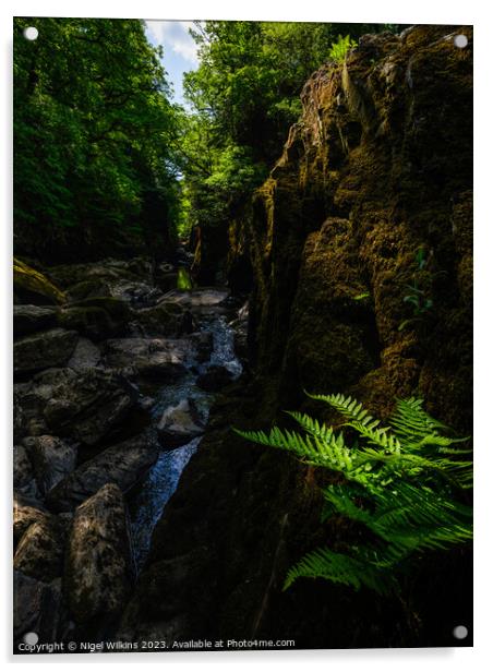 The Fairy Glen, Betws-y-Coed Acrylic by Nigel Wilkins