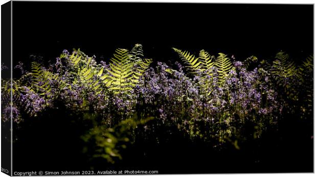 A close up of a flower Canvas Print by Simon Johnson