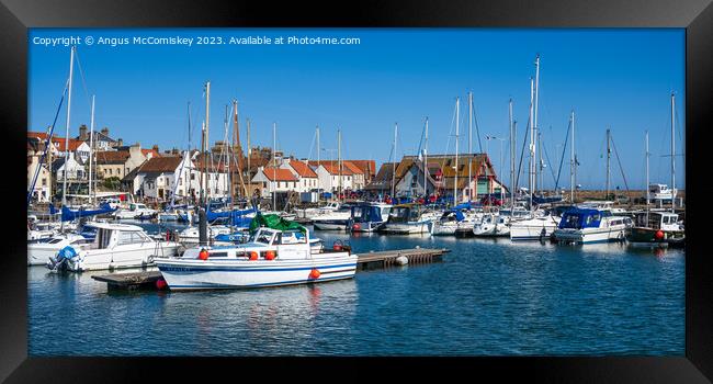 Panoramic view of boats in Anstruther harbour Fife Framed Print by Angus McComiskey
