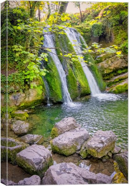Janet's Foss: Springtime in Malham Canvas Print by Tim Hill