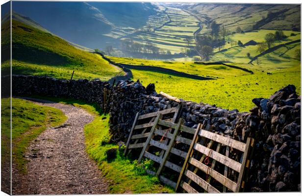Dry Stone Wall Terrace: Malham Landscape Canvas Print by Tim Hill