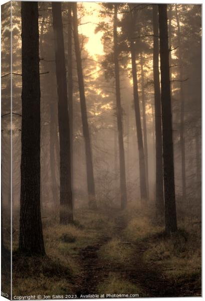 Majestic Misty Sunset Forest Canvas Print by Jon Saiss