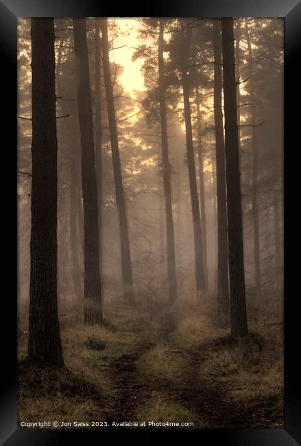 Majestic Misty Sunset Forest Framed Print by Jon Saiss