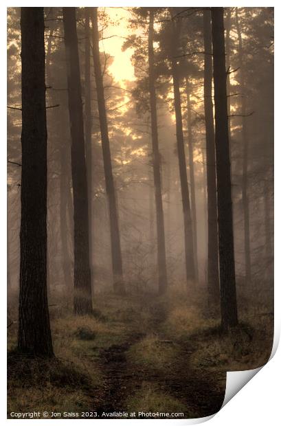 Majestic Misty Sunset Forest Print by Jon Saiss