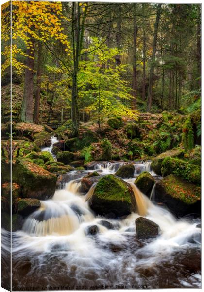 Yorkshire Waterfall  Canvas Print by Graham Morris