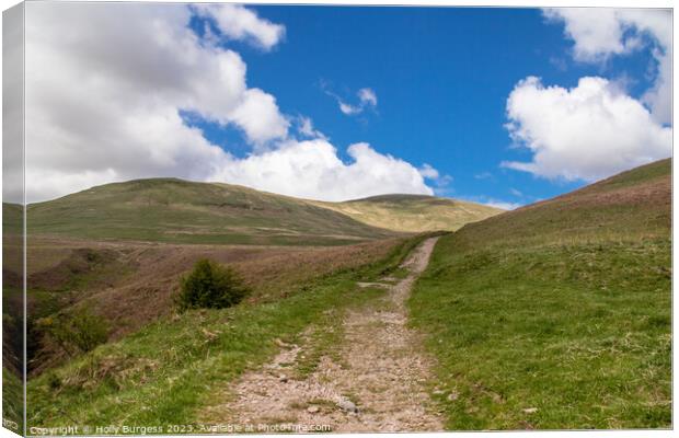 Landscape of Dollar Scotland, bright blue Skys with clouds Canvas Print by Holly Burgess