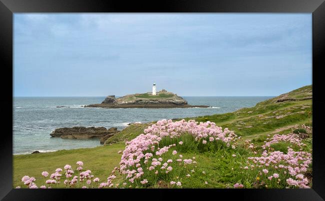 Godrevy lighthouse with sea pinks Framed Print by kathy white