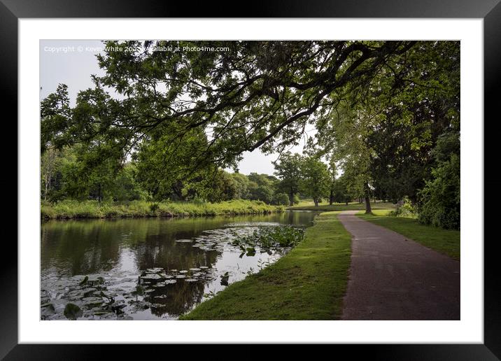 Lake walk at Painshill Park Cobham Framed Mounted Print by Kevin White