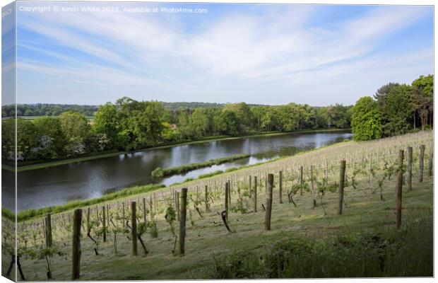 Vineyard at Painshill Park Gardens in Surrey Canvas Print by Kevin White