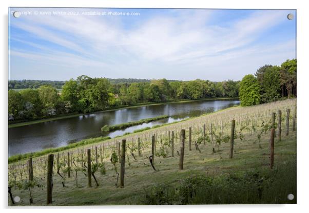 Vineyard at Painshill Park Gardens in Surrey Acrylic by Kevin White