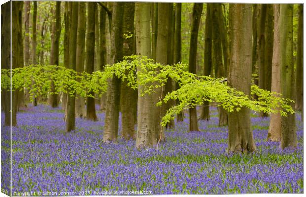 Bluebell woods Canvas Print by Simon Johnson