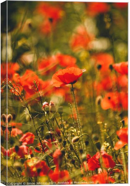 poppy field Canvas Print by Simon Johnson