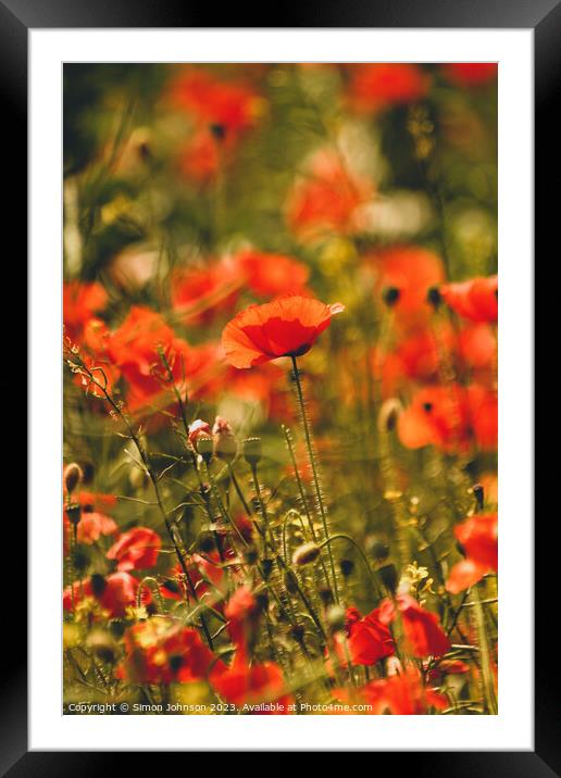 poppy field Framed Mounted Print by Simon Johnson