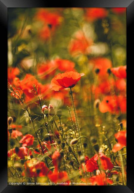 poppy field Framed Print by Simon Johnson