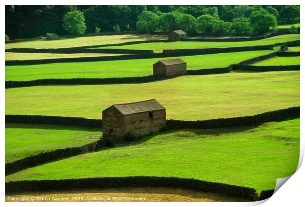 Fields and barns Print by Simon Johnson