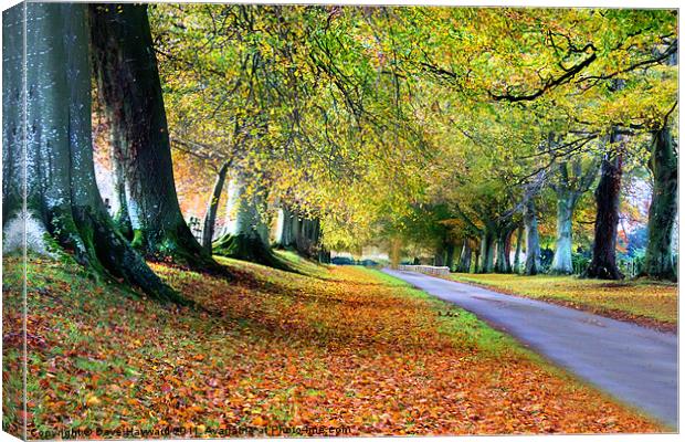 The Fall Canvas Print by Dave Hayward