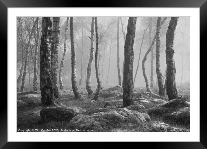 Black and White misty woodland scene Framed Mounted Print by Tim Gamble