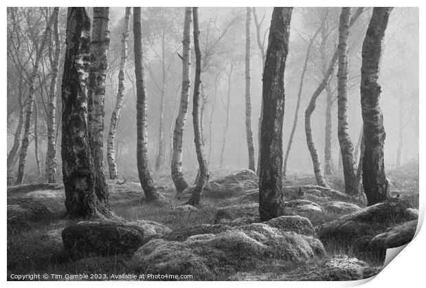 Black and White misty woodland scene Print by Tim Gamble