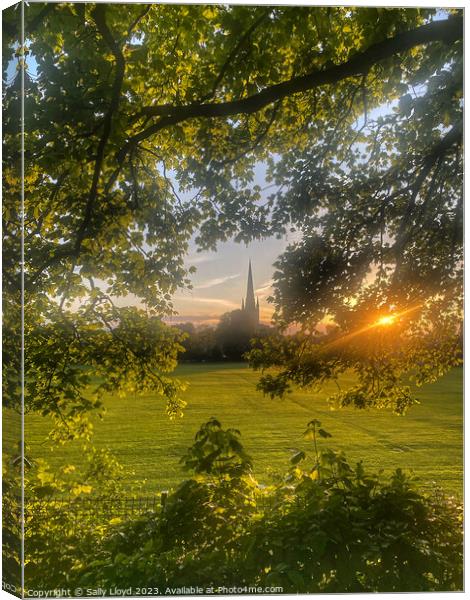 Norwich Cathedral Golden Sunset Canvas Print by Sally Lloyd