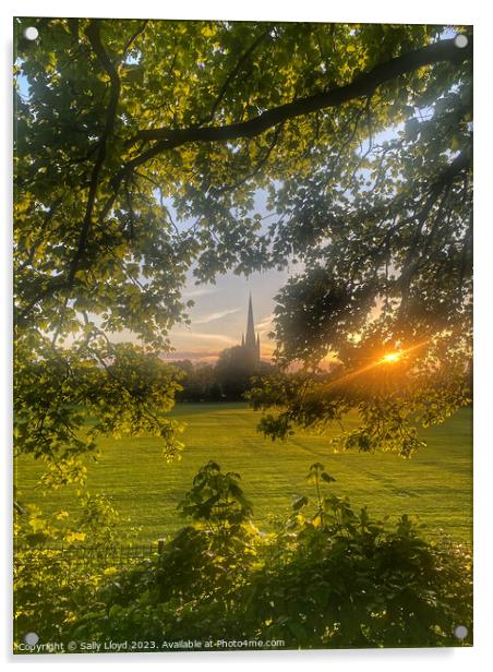 Norwich Cathedral Golden Sunset Acrylic by Sally Lloyd
