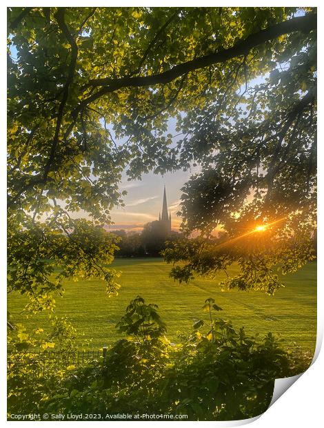 Norwich Cathedral Golden Sunset Print by Sally Lloyd
