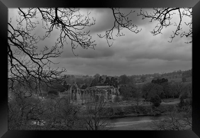 Bolton Abbey - Mono Framed Print by Glen Allen