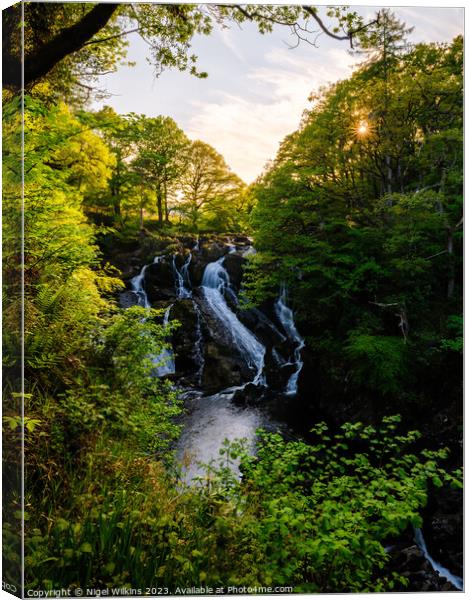 Swallow Falls, Betws-y-Coed Canvas Print by Nigel Wilkins