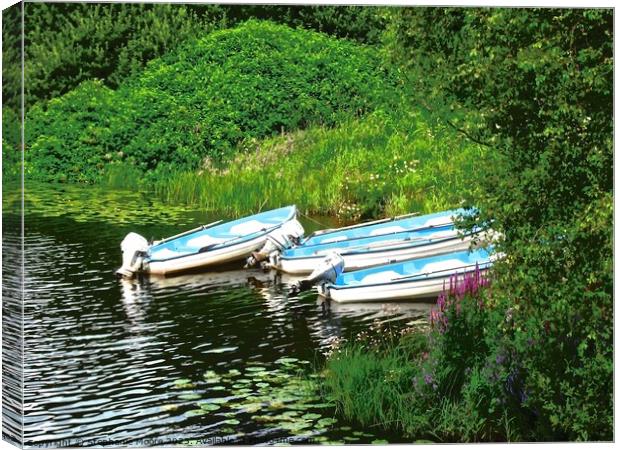 Three small boats Canvas Print by Stephanie Moore