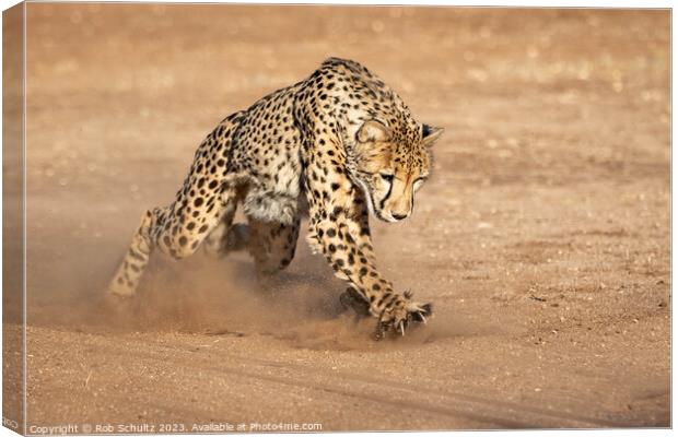 Powerful Cheetah Chases with Claws Canvas Print by Rob Schultz