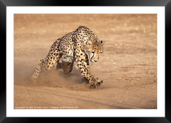 Powerful Cheetah Chases with Claws Framed Mounted Print by Rob Schultz
