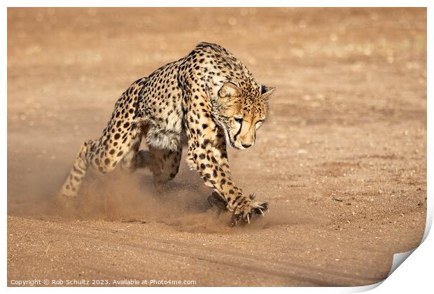 Powerful Cheetah Chases with Claws Print by Rob Schultz