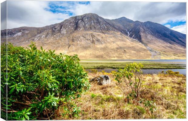 Nature's Serenity at Loch Etive Canvas Print by Steve Smith