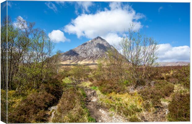 The Iconic Buachaille Etive Mor Canvas Print by Steve Smith