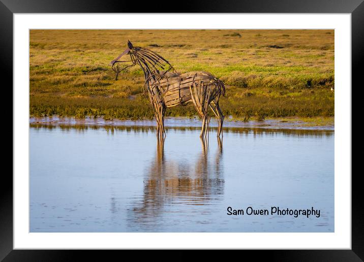 The worlds lifeboat horse Framed Mounted Print by Sam Owen
