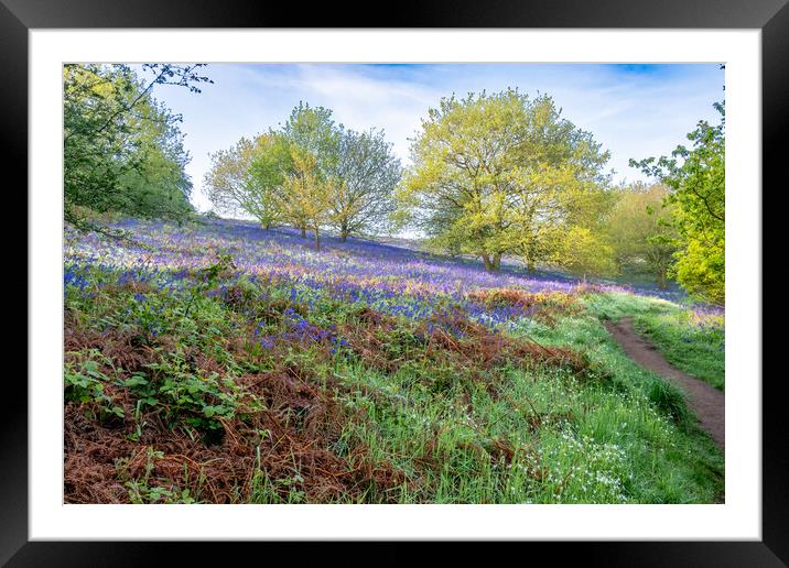 Exploring the Charm of North Yorkshire's Countryside Framed Mounted Print by Steve Smith