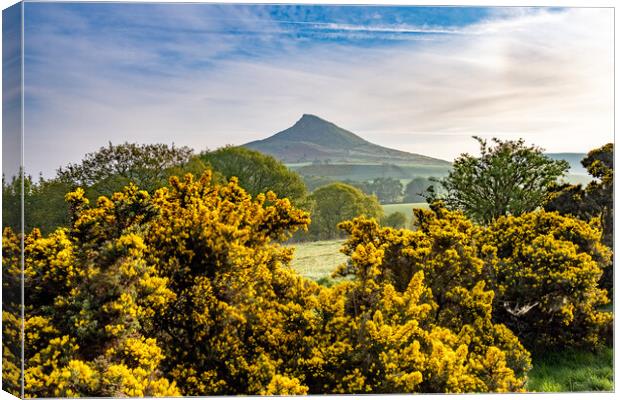 Capturing the Beauty of Roseberry Canvas Print by Steve Smith