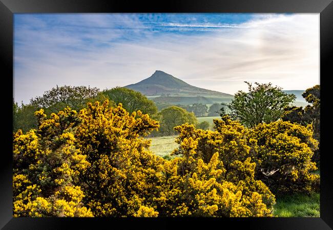 Capturing the Beauty of Roseberry Framed Print by Steve Smith