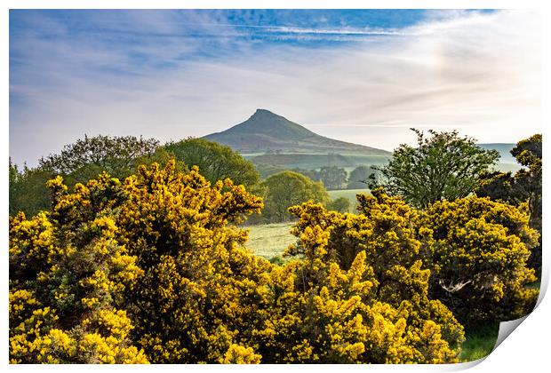 Capturing the Beauty of Roseberry Print by Steve Smith